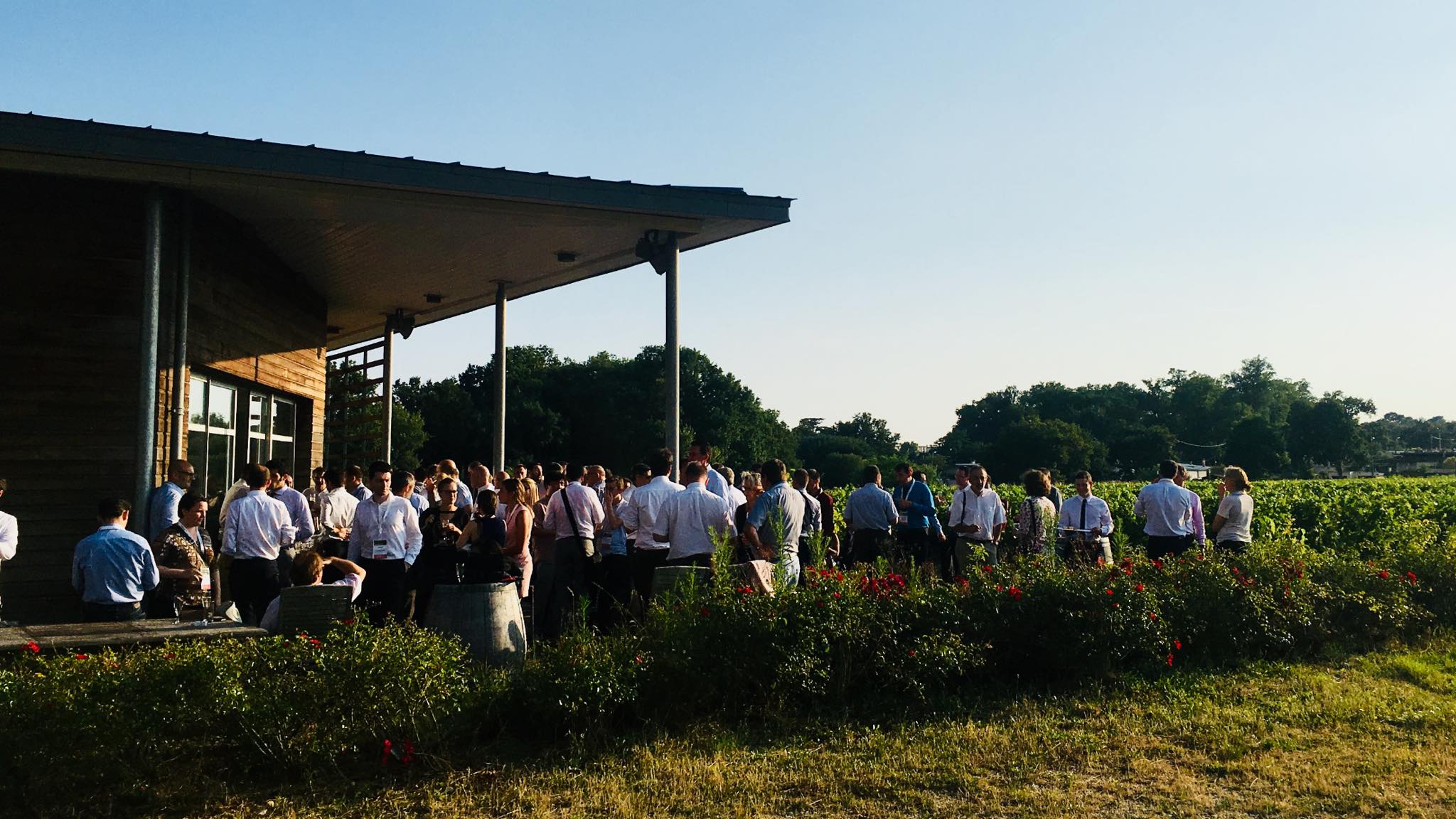 Château Luchey-Halde — cocktail sur la terrasse avec vue sur les vignes
